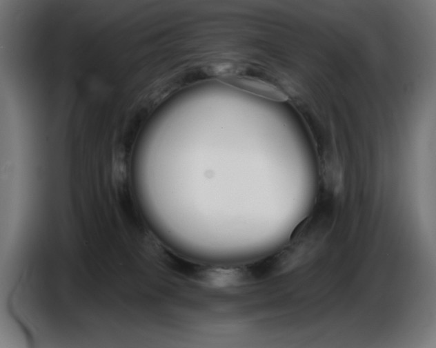 X0000086780085200705041536