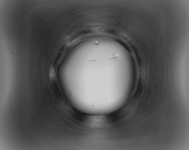 X0000086780089200705041536