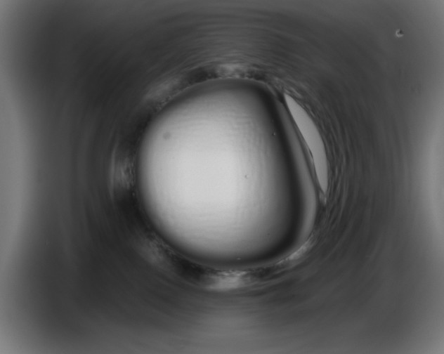 X0000086780090200705041536