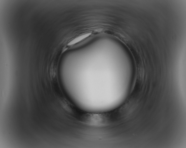 X0000086780091200705041536