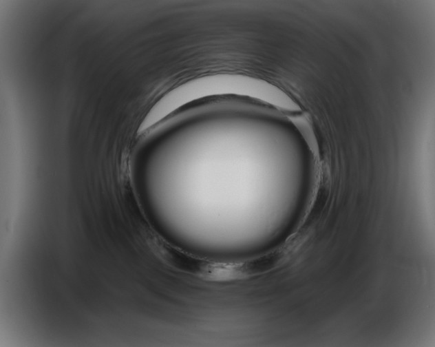 X0000086780093200705041536