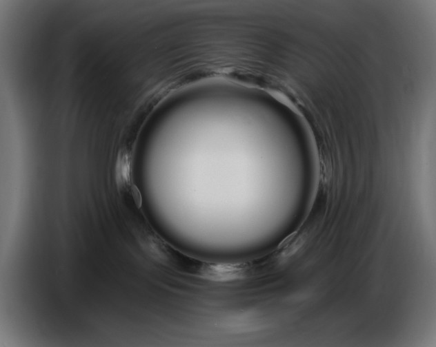 X0000086780095200705041537