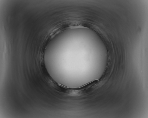 X0000086780096200705041537