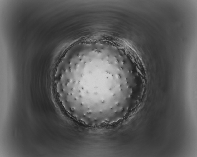 X0000086780097200705041536