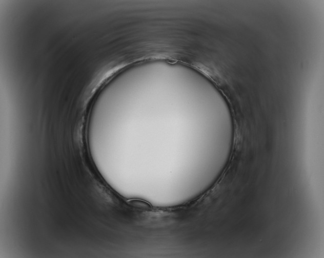 X0000086780098200705041536