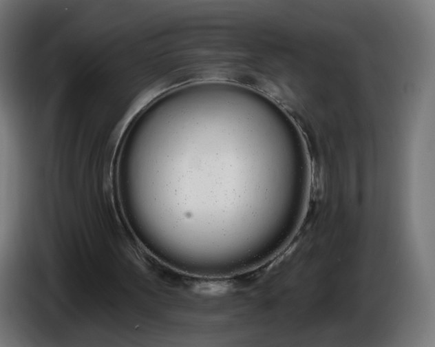 X0000086780099200705041536