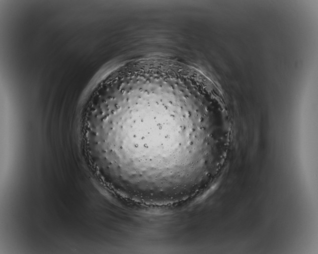 X0000086780101200705041536