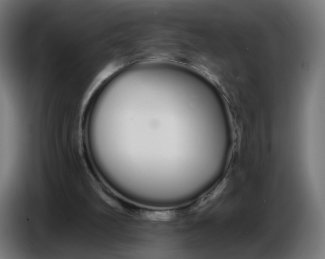 X0000086780102200705041536