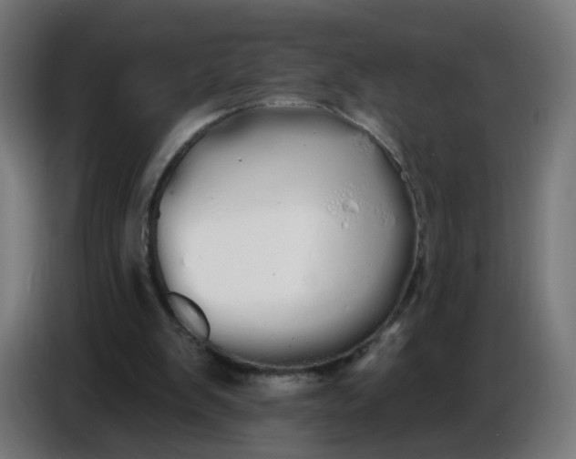 X0000086780103200705041536