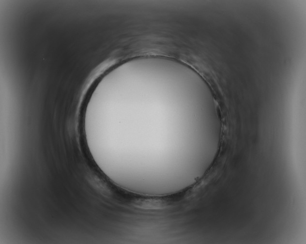 X0000086780104200705041536