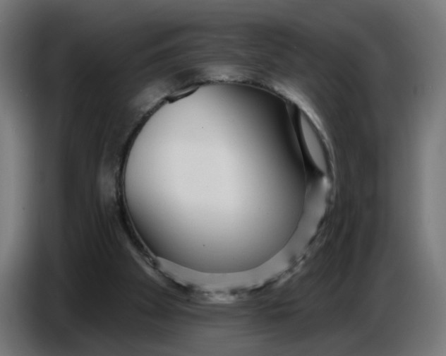 X0000086780105200705041536