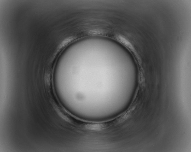 X0000086780106200705041536