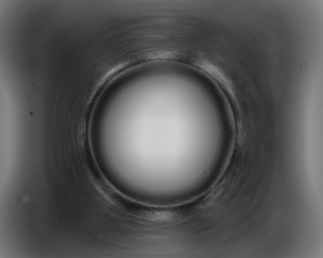 X0000086780107200705041536