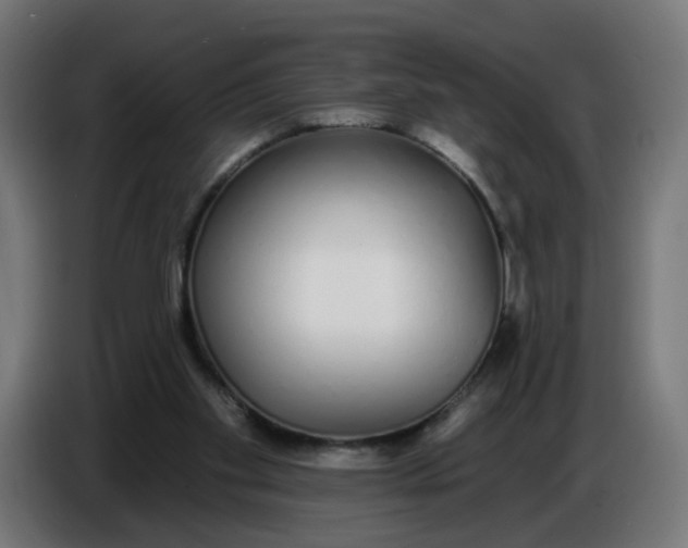 X0000086780109200705041536