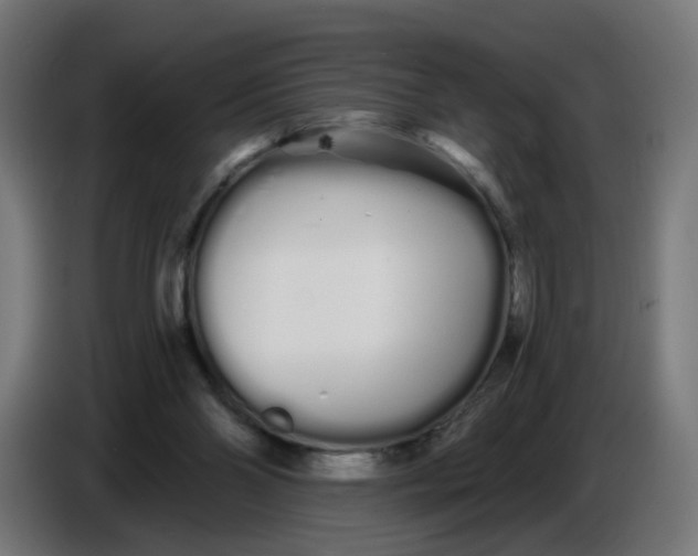 X0000086780110200705041536