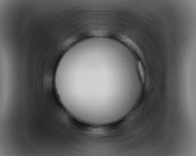 X0000086780113200705041536