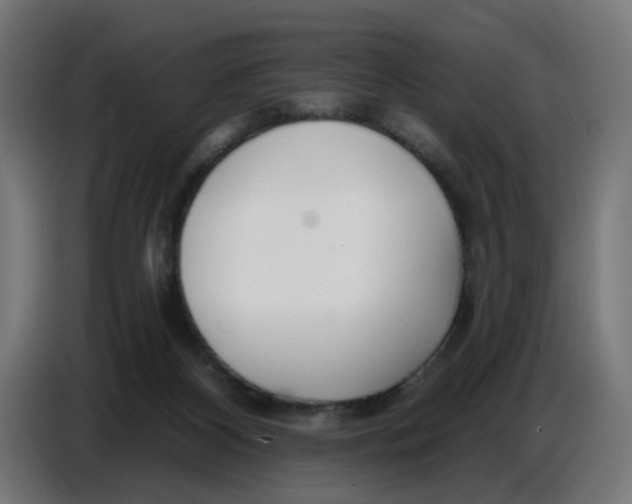 X0000086780116200705041536