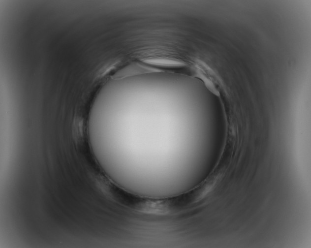 X0000086780117200705041536