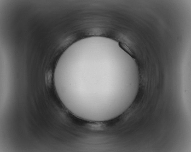 X0000086780118200705041536