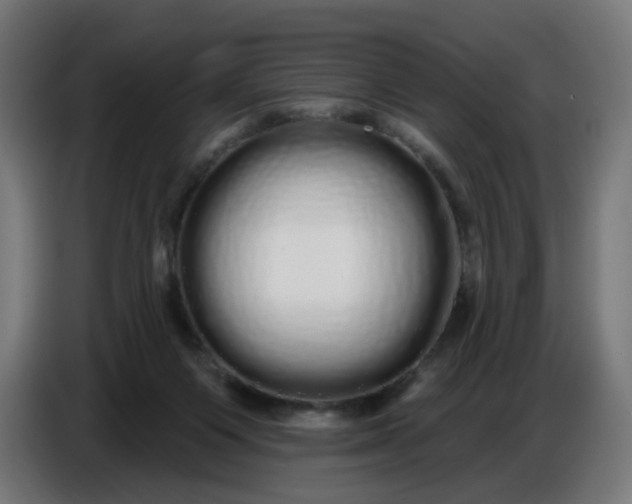 X0000086780119200705041536