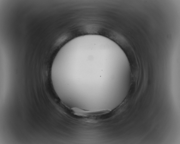 X0000086780120200705041536