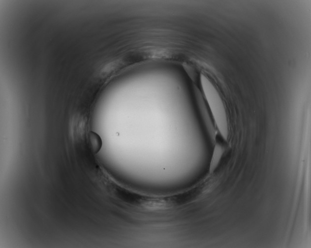 X0000086780123200705041536