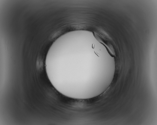 X0000086780124200705041536