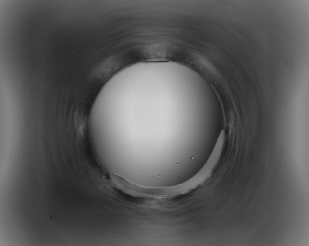 X0000086780125200705041536