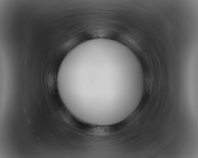 X0000086780126200705041536