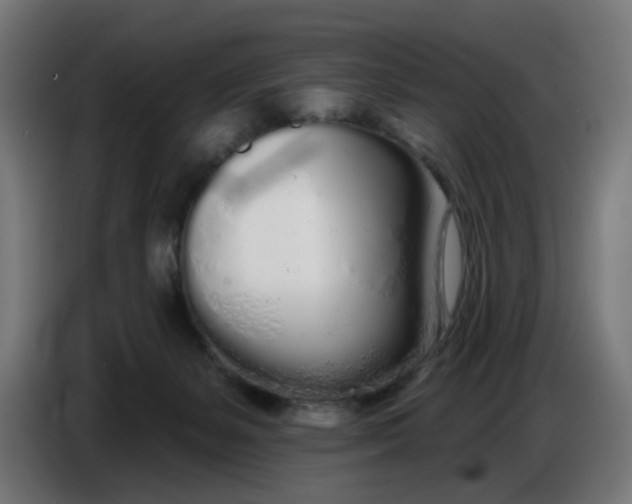 X0000086780127200705041536