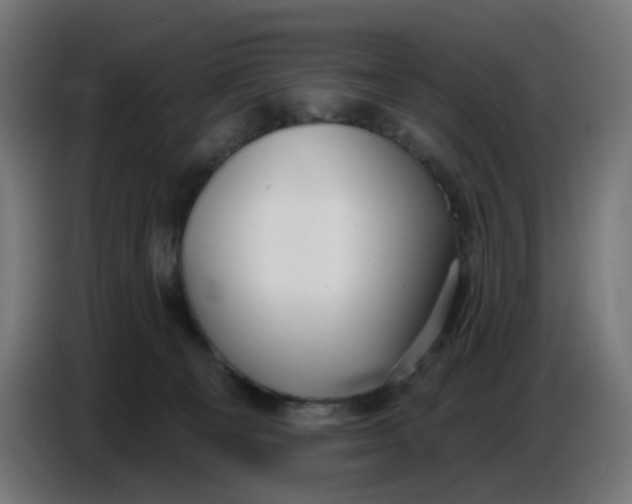 X0000086780129200705041535