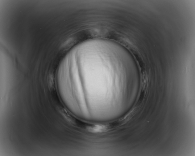 X0000086780130200705041535