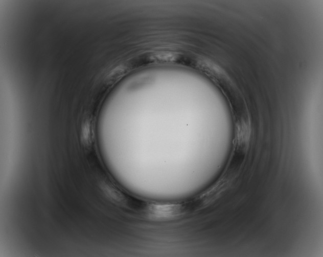 X0000086780134200705041535