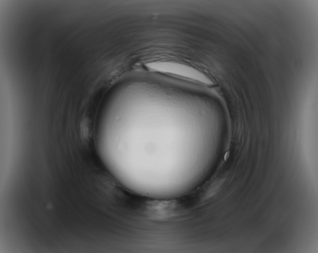 X0000086780135200705041535