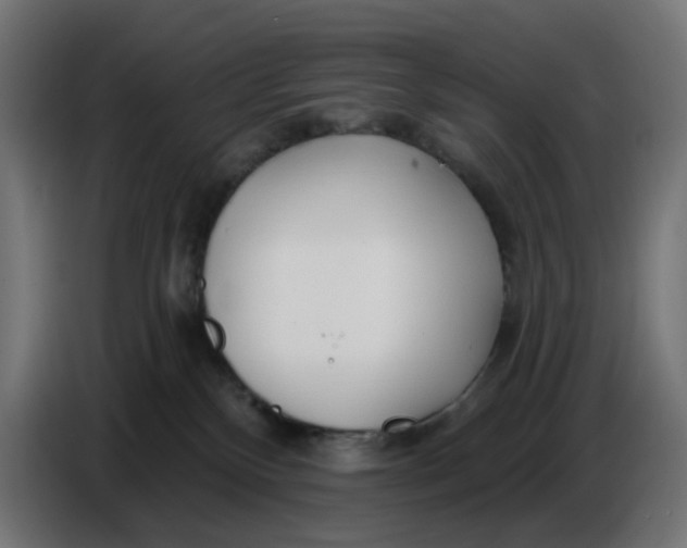 X0000086780136200705041535