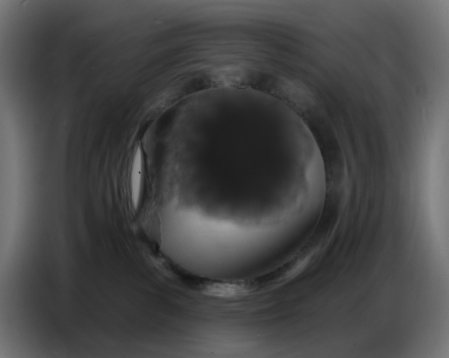 X0000086780139200705041535