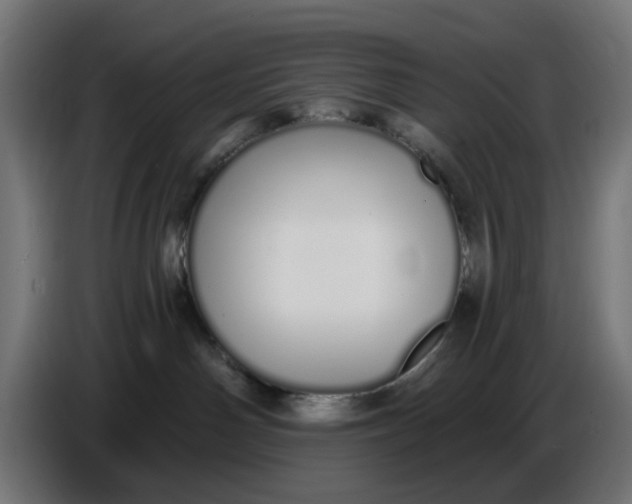 X0000086780142200705041535