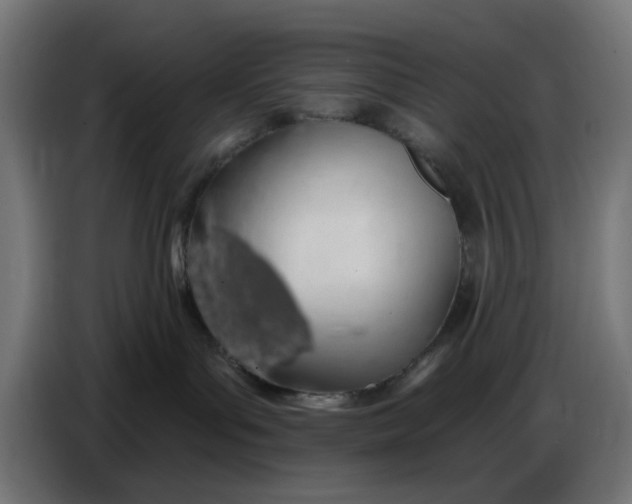 X0000086780143200705041535