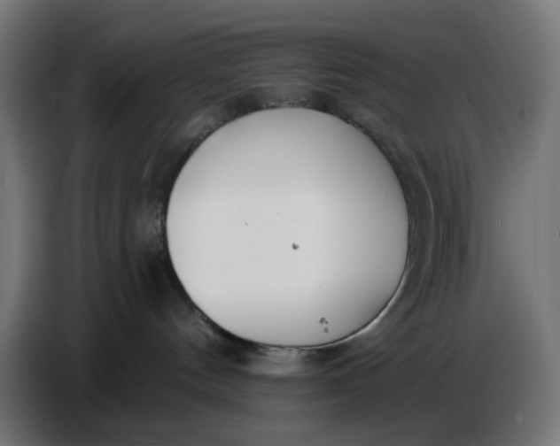 X0000086780144200705041535