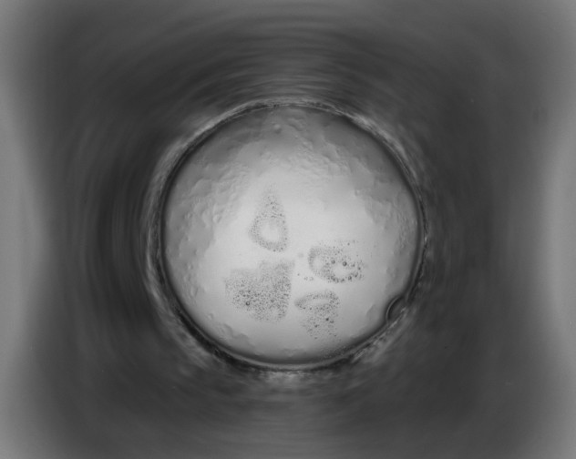 X0000086780145200705041535