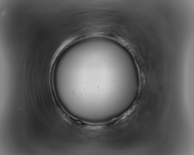 X0000086780147200705041535