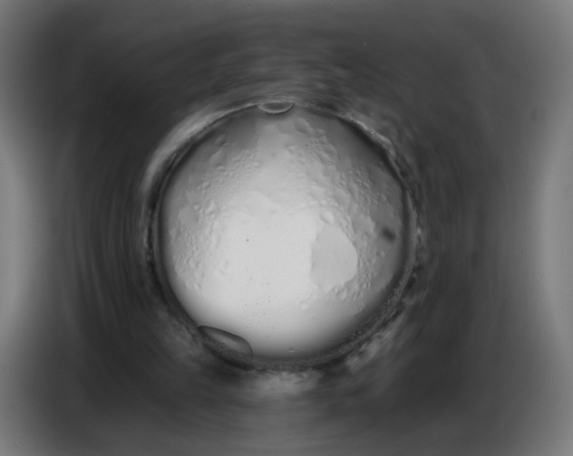 X0000086780149200705041535