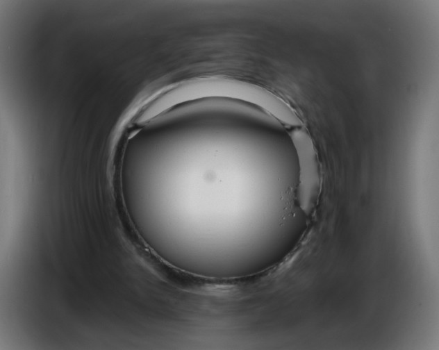 X0000086780150200705041535