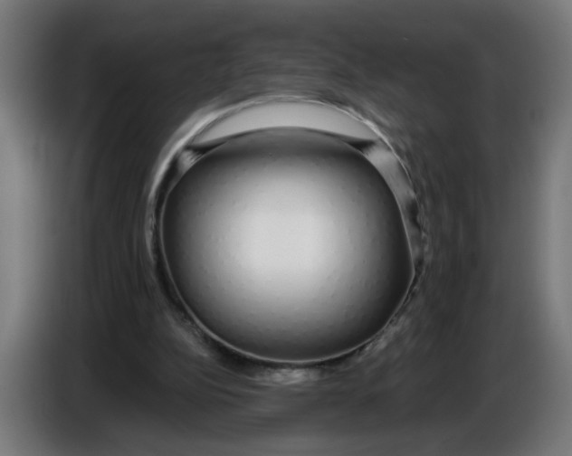 X0000086780152200705041535