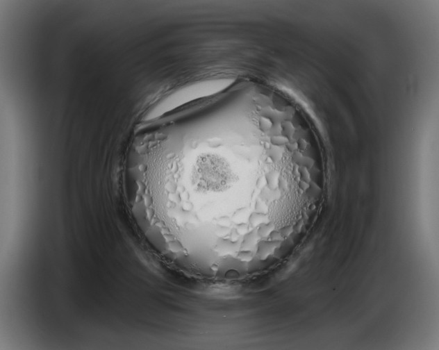 X0000086780153200705041535