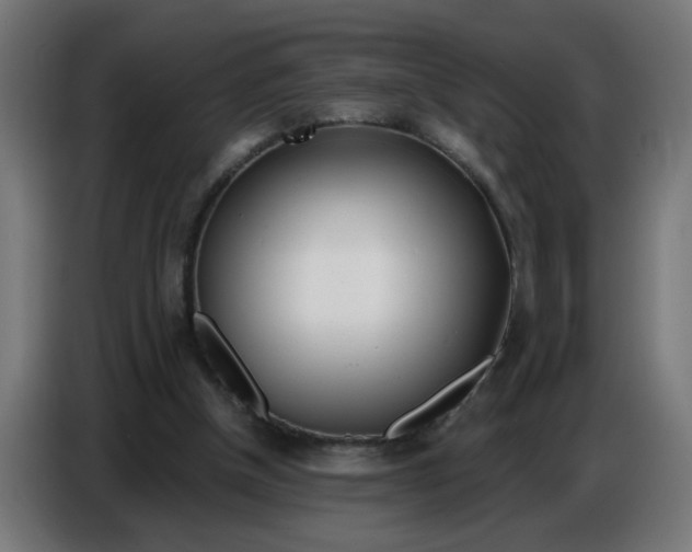 X0000086780154200705041535