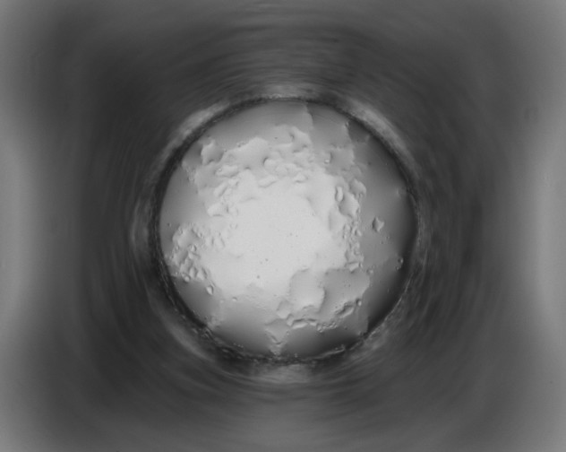 X0000086780155200705041535