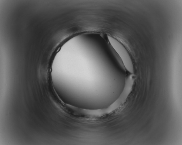 X0000086780156200705041535