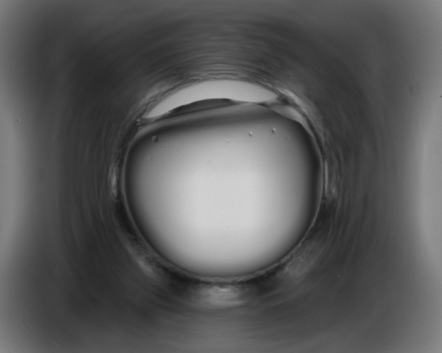 X0000086780157200705041535