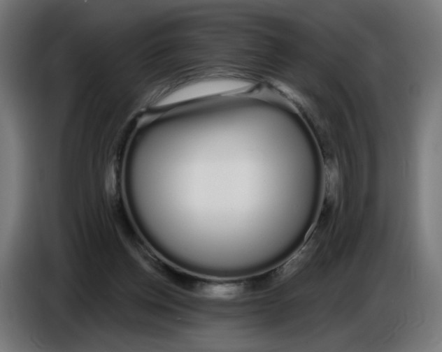 X0000086780158200705041535